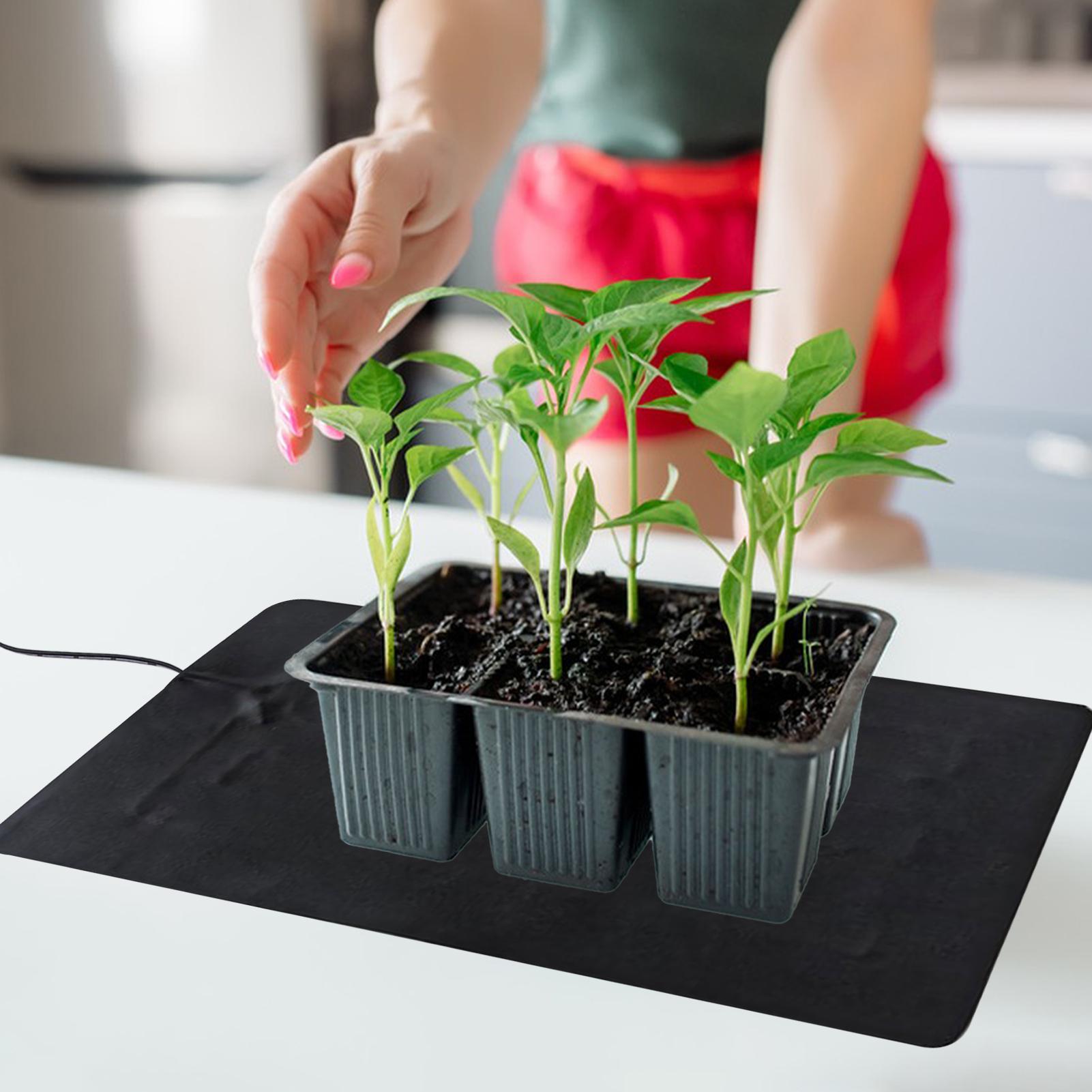 Tappetino Riscaldante per Seme - Seedling Heat Mat recensione e prezzo
