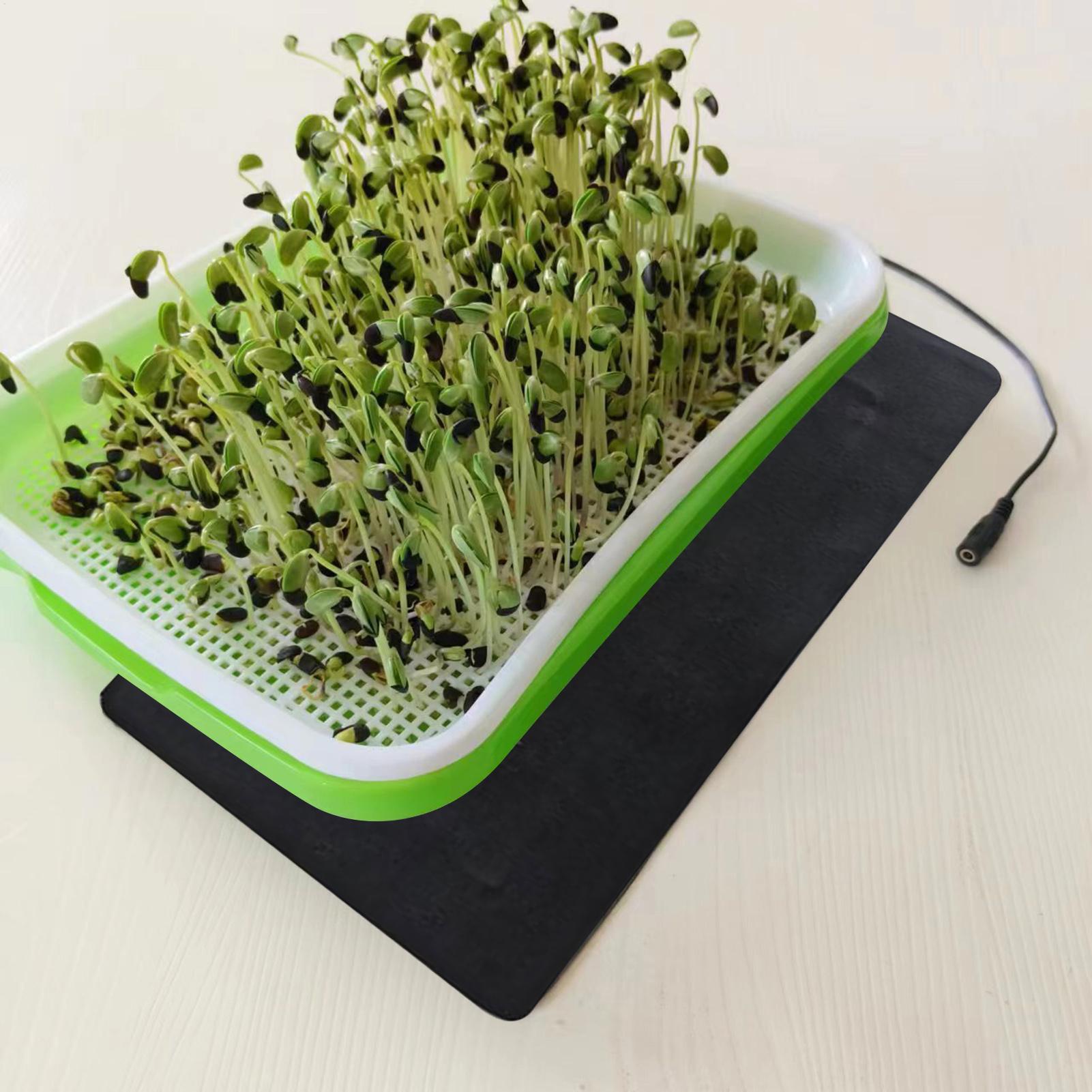 Tappetino Riscaldante per Seme - Seedling Heat Mat recensione e prezzo